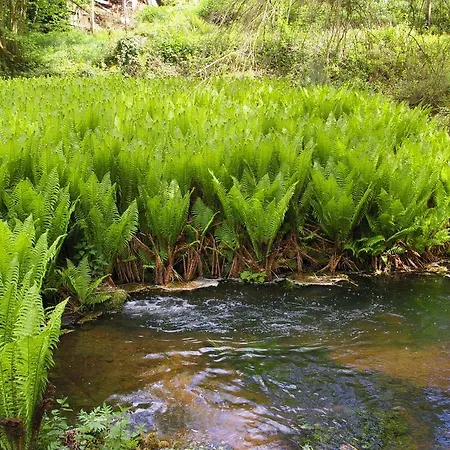 Daire Reichholdsmuhle Kaiserslautern