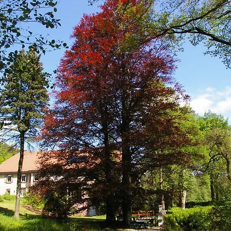 Reichholdsmühle * Kaiserslautern