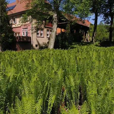 Apartment Reichholdsmuehle Kaiserslautern