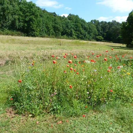 Apartamento Reichholdsmühle
