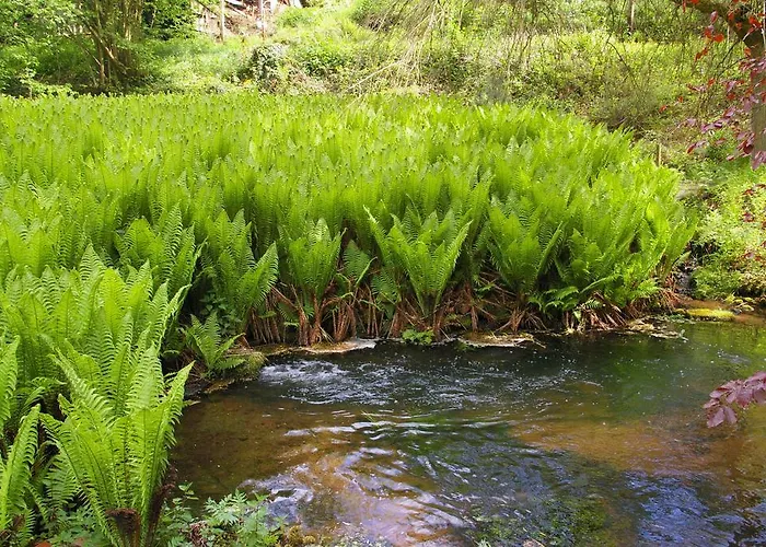 Apartamento Reichholdsmühle Kaiserslautern