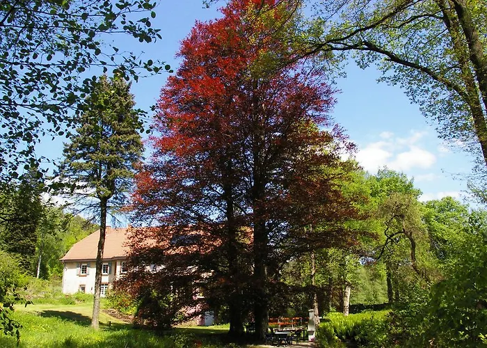 Reichholdsmühle * Kaiserslautern