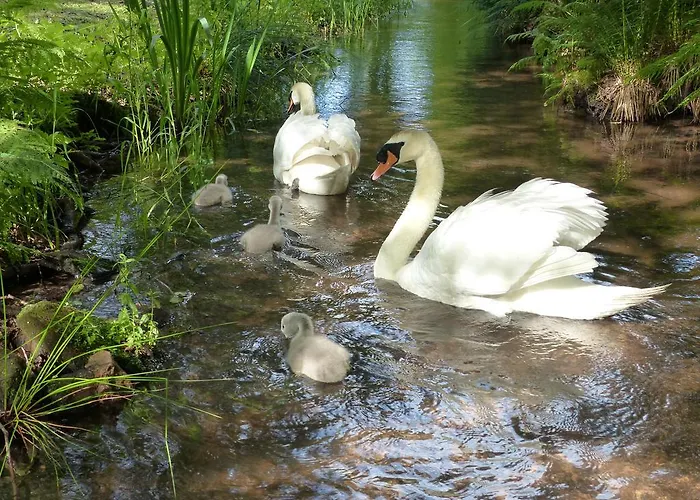 Reichholdsmuhle Appartement Kaiserslautern