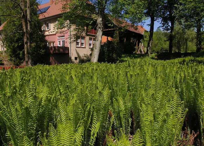 Appartement Reichholdsmuhle Kaiserslautern