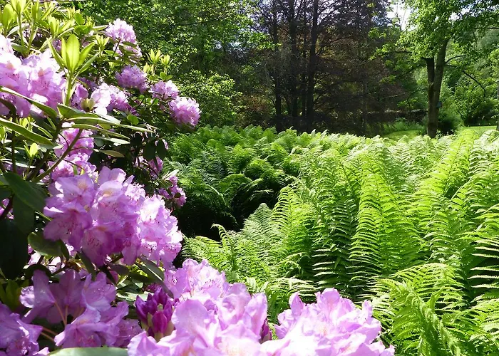 Reichholdsmühle Kaiserslautern