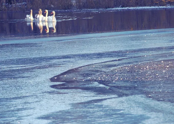 Reichholdsmuehle Kaiserslautern