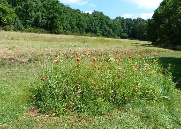 Apartamento Reichholdsmühle